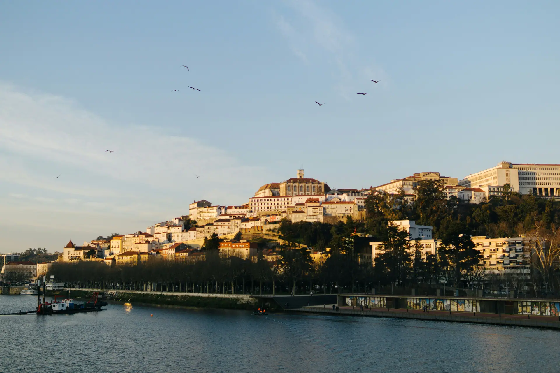 Conhecimento e Misticismo: Coimbra e Templários 3