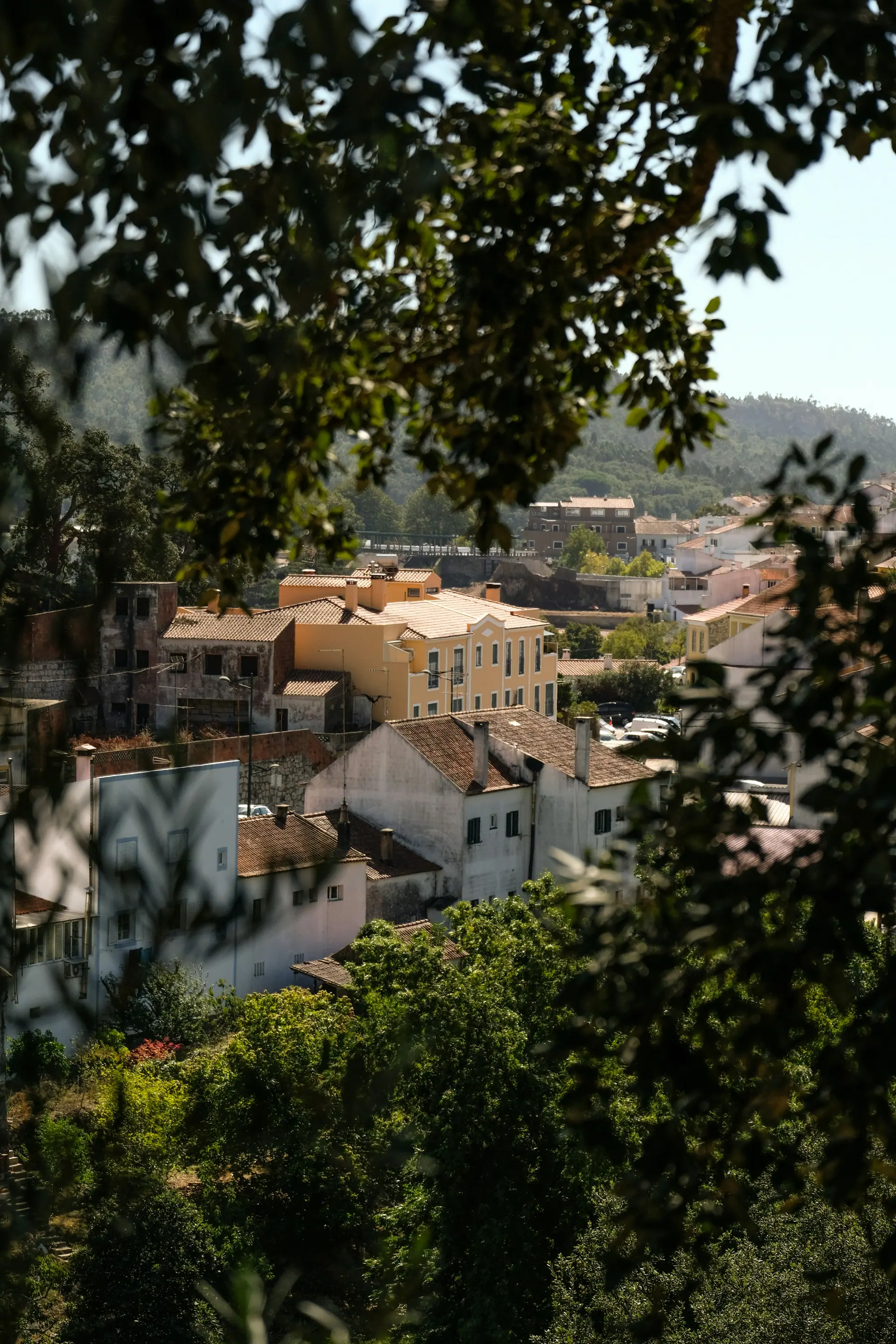O Jardim do Sul: Escapadinha na Serra de Monchique 3