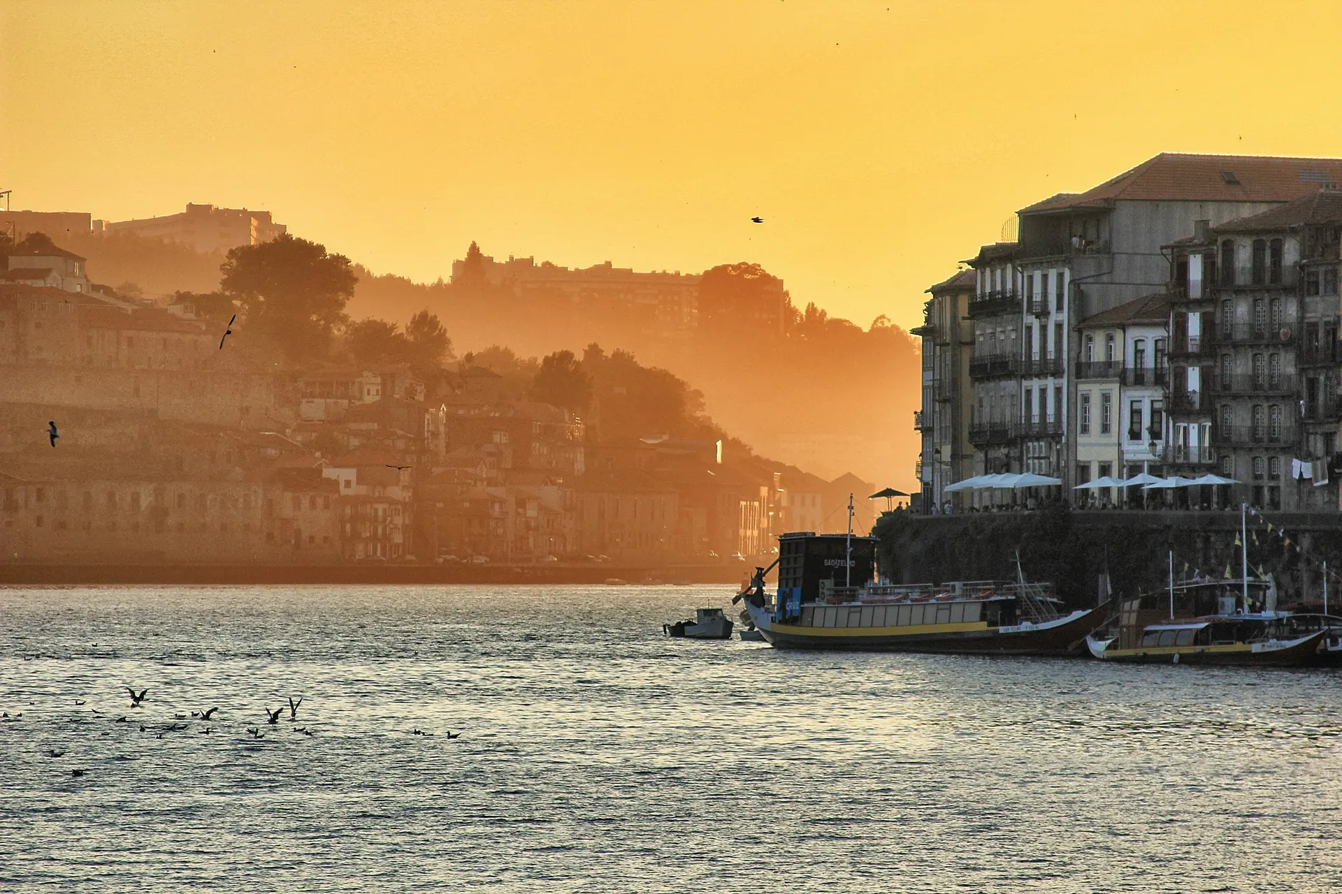Douro & Alto Minho: Rota dos Vinhos do Norte
