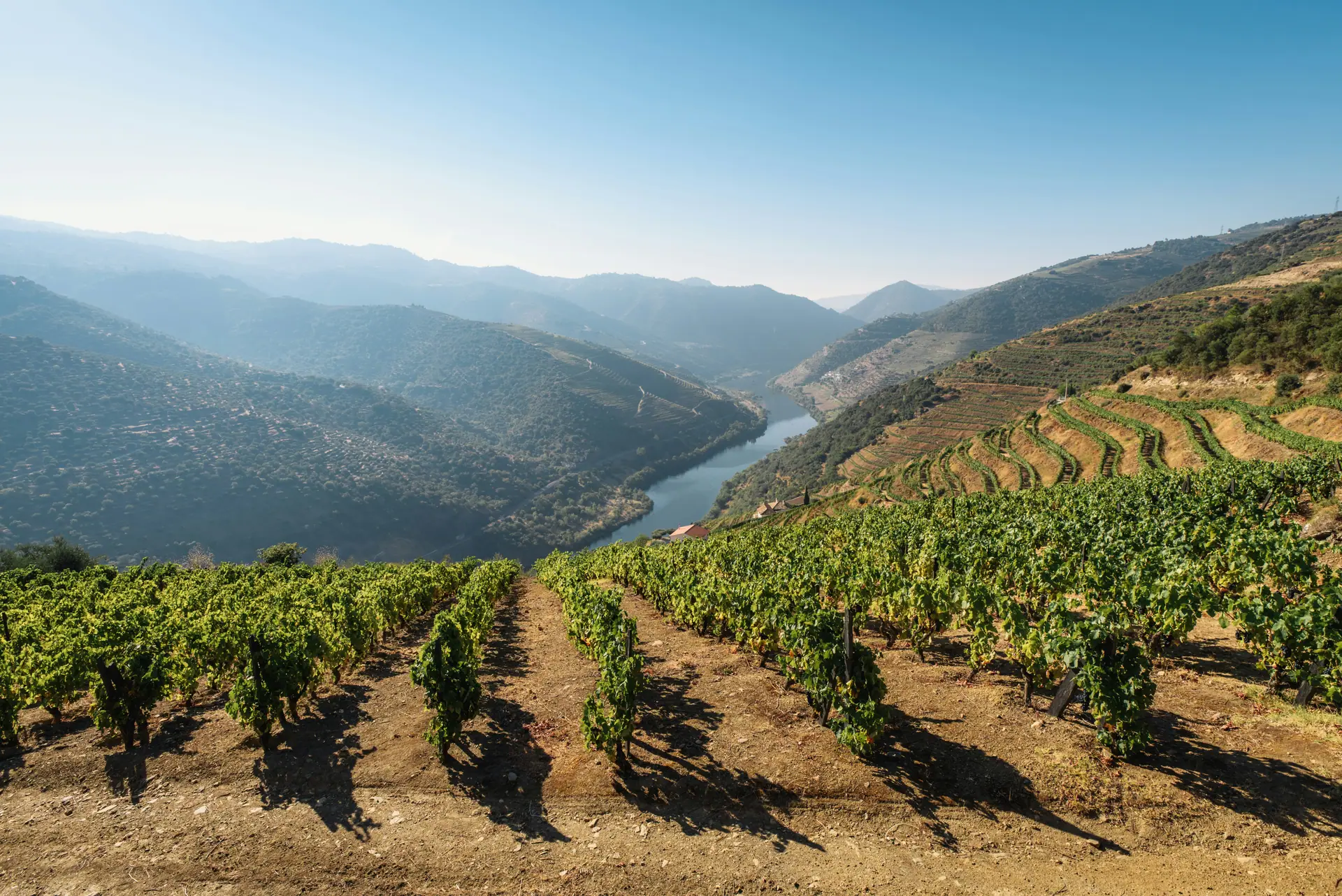 Douro & Alto Minho: Rota dos Vinhos do Norte 2